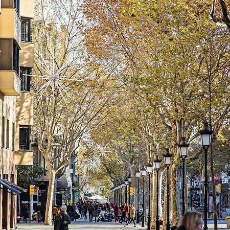 Sweett - La Pedrera - Paseo De Gracia