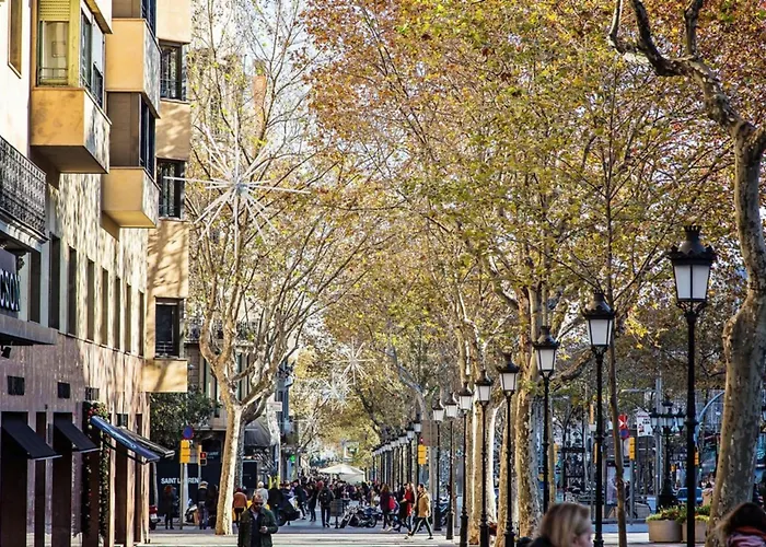 Sweett - La Pedrera - Paseo De Gracia